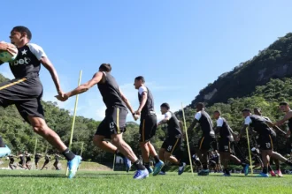 Botafogo estabelece perfil técnico para reforçar o setor defensivo