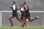 Botafogo intensifica recuperação de trio com treino no gramado