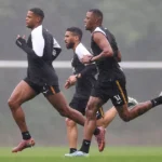 Botafogo intensifica recuperação de trio com treino no gramado