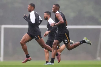 Botafogo intensifica recuperação de trio com treino no gramado