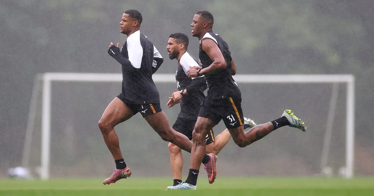 Botafogo intensifica recuperação de trio com treino no gramado