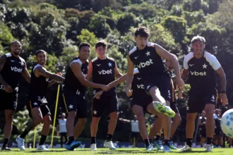 Botafogo mantém busca por reforços estratégicos no mercado da bola