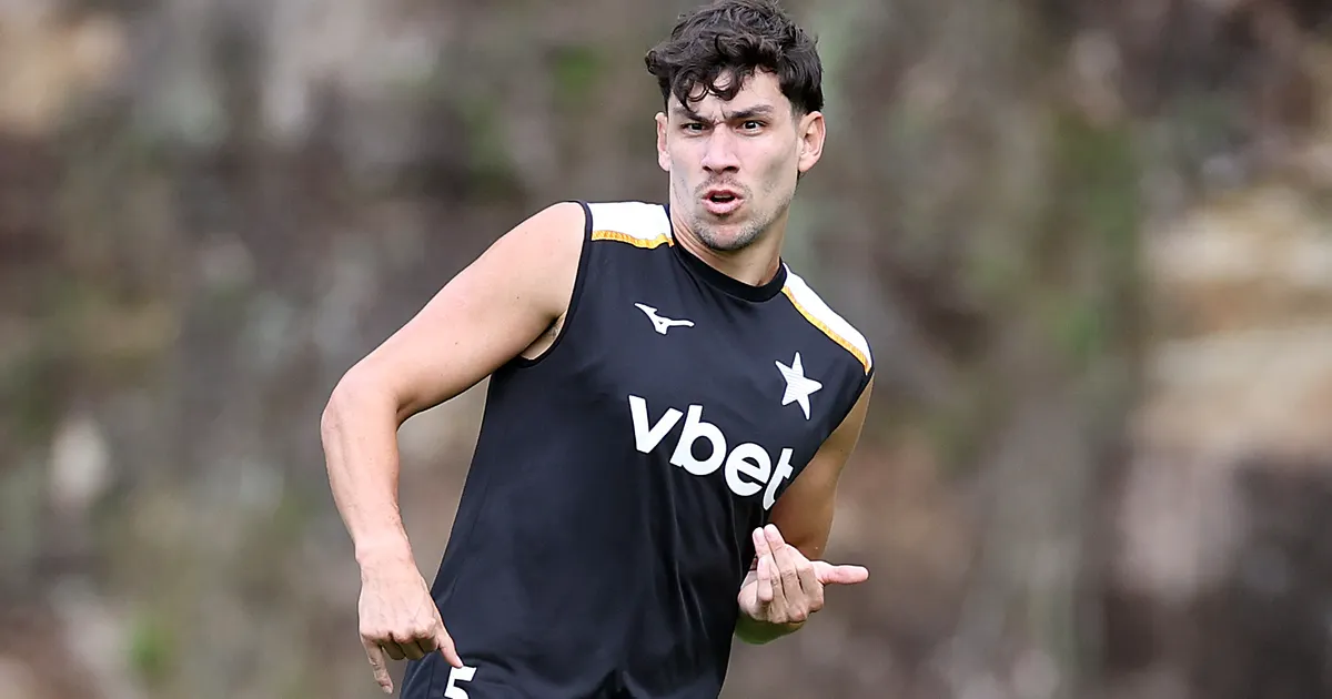 Botafogo recusa pedido do São Paulo para retorno antecipado de Ferraresi