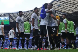 Botafogo vence Cruzeiro e ganha fôlego na tabela do Campeonato Brasileiro