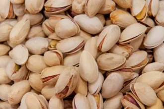 Como transformar cascas de pistache em adubo orgânico para suas plantas