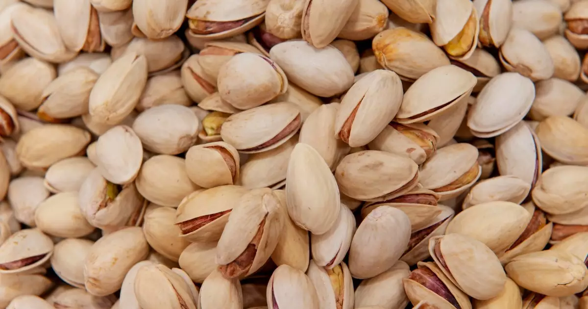 Como transformar cascas de pistache em adubo orgânico para suas plantas