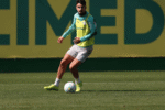 Flaco López retorna aos treinos e reforça o Palmeiras para o Brasileirão