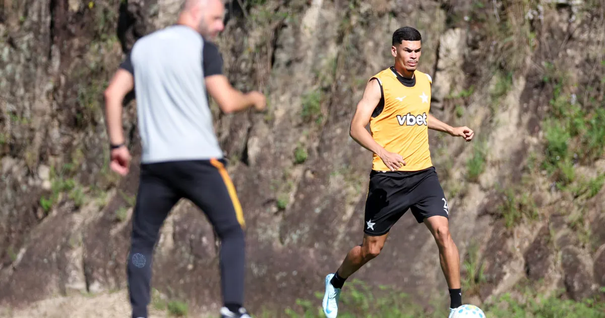 Botafogo enfrenta escassez na zaga e planeja busca por novos reforços