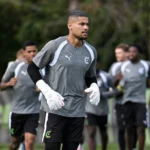 Botafogo encaminha contratação do goleiro Warleson para reforçar o elenco