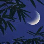 Lua minguante e o ciclo de recolhimento: saiba o que evitar nesta fase lunar
