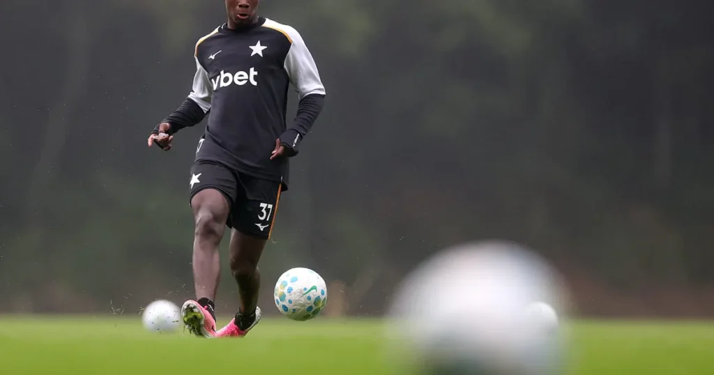 Botafogo busca ascensão com potencial de reforços internos no elenco