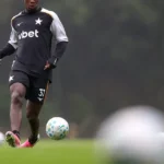 Botafogo busca ascensão com potencial de reforços internos no elenco