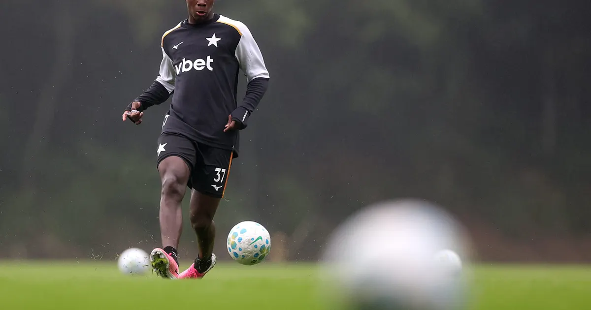 Botafogo busca ascensão com potencial de reforços internos no elenco