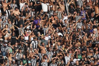 Botafogo abre venda de ingressos para confrontos contra Santos e Vitória