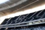 Botafogo altera composição societária da SAF e comunica juízo da recuperação judicial