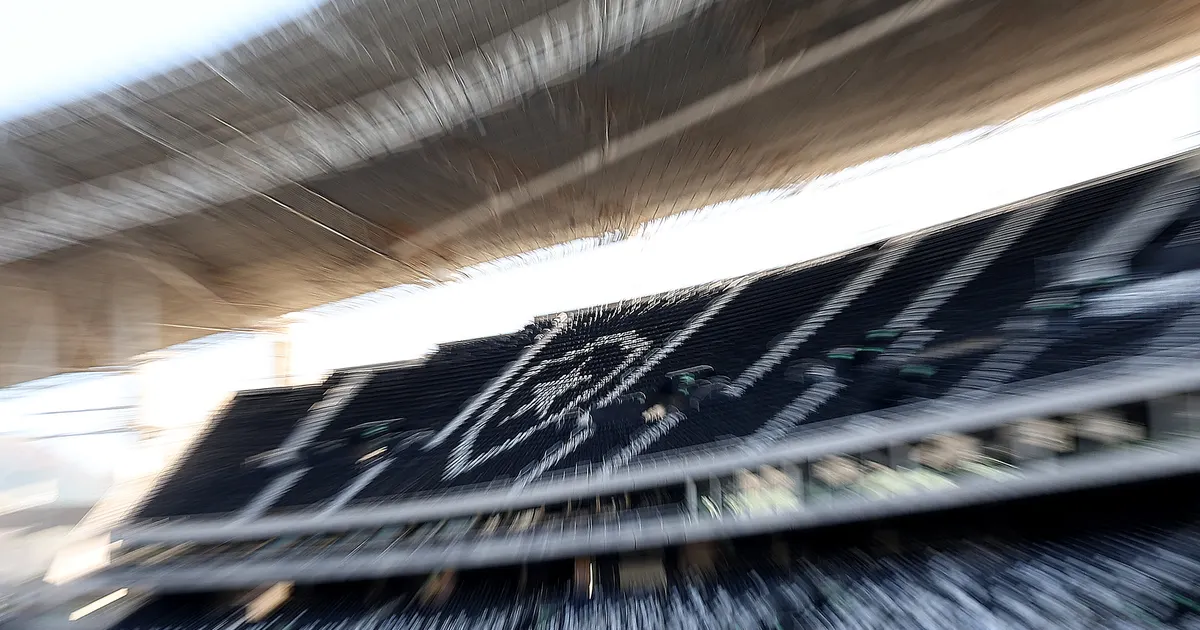 Botafogo altera composição societária da SAF e comunica juízo da recuperação judicial