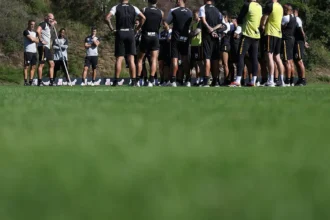 Botafogo limpa pendências na Fifa e ganha fôlego para buscar novos reforços