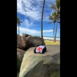 Vasco da Gama celebra presença simbólica de seu manto em Salvador, Bahia