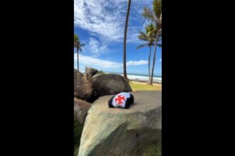 Vasco da Gama celebra presença simbólica de seu manto em Salvador, Bahia
