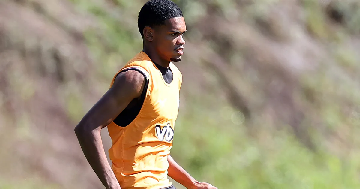 Botafogo aposta em jovens da base para duelo decisivo contra o Santos