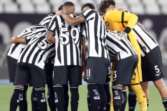 Sinais positivos marcam a vitória do Botafogo contra o Santos