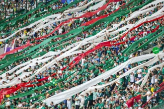 Ingressos para Palmeiras e Fortaleza na Copa do Brasil: veja preços e datas