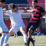 Palmeiras empata com Flamengo-sp no Paulistão antes de decisão nacional