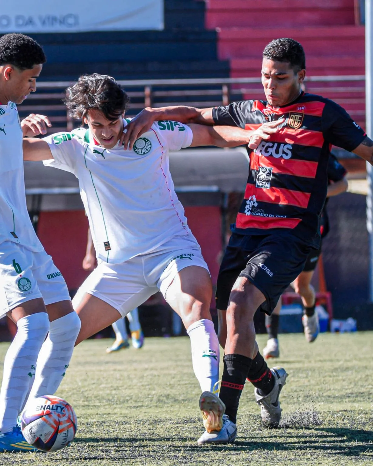 Palmeiras empata com Flamengo-sp no Paulistão antes de decisão nacional