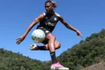 Volante Danilo: Botafogo aguarda oferta do Palmeiras antes de definir escalação