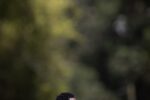 Vasco finaliza preparação na Colômbia para duelo pela Copa Sudamericana