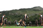 Botafogo intensifica busca por reforços e mira posições-chave no mercado