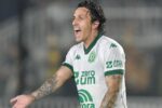 Chapecoense e Flamengo se enfrentam na Arena Condá pelo Brasileirão