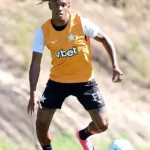 Palmeiras define limite financeiro em negociação por Danilo com o Botafogo