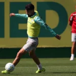 Palmeiras recupera atletas importantes e mira vitória em confronto decisivo
