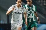 Santos e Chapecoense medem forças em confronto decisivo pelo Campeonato Brasileiro