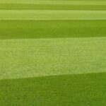 Vasco e Flamengo decidem o título da Brasil Soccer Cup sub-16