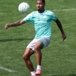 Allan projeta evolução do Palmeiras e cobra ajustes ofensivos antes de duelo contra o Fluminense