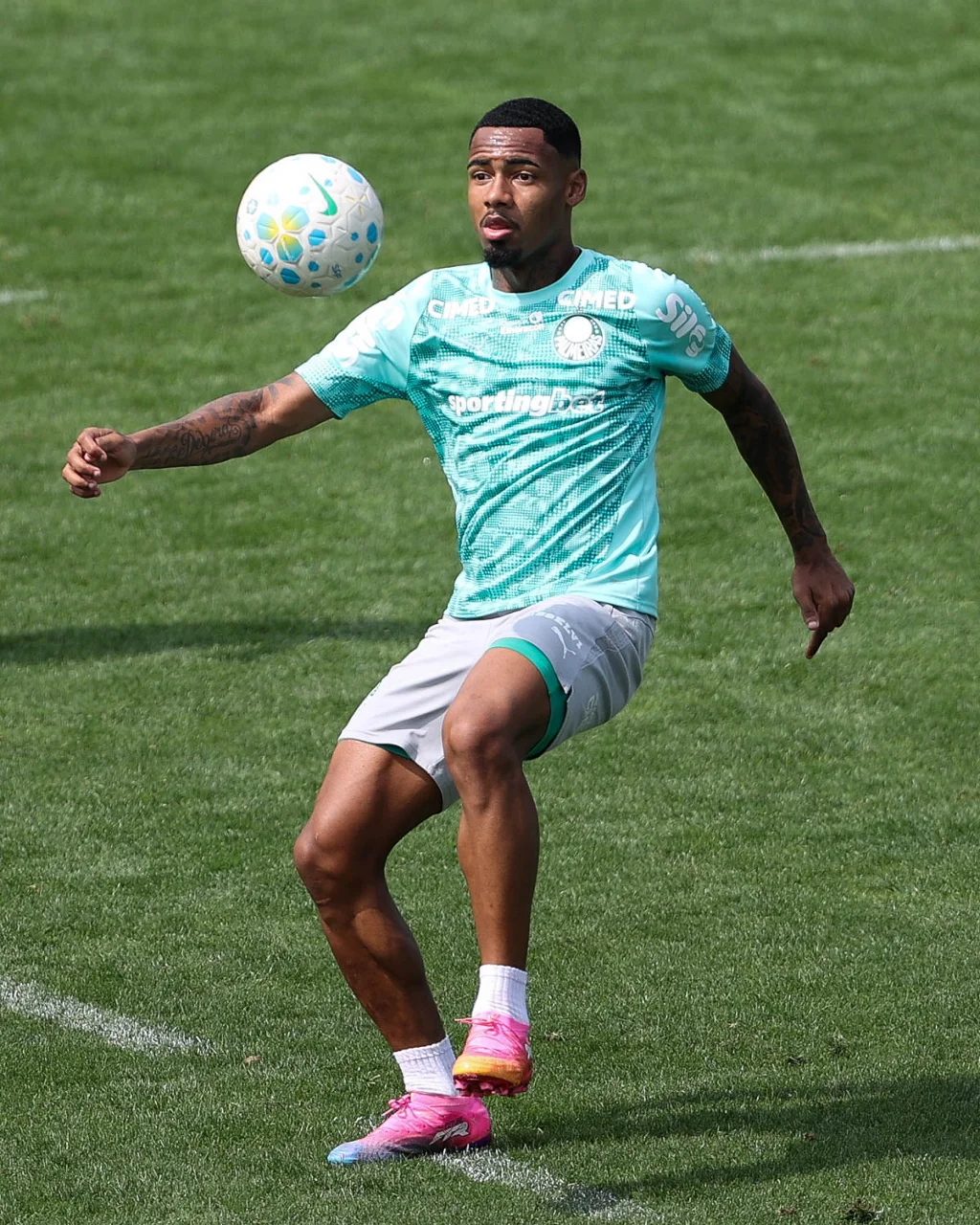 Allan projeta evolução do Palmeiras e cobra ajustes ofensivos antes de duelo contra o Fluminense