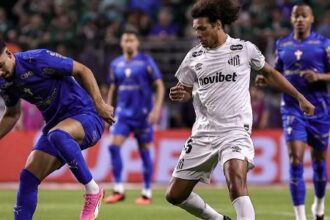 Após revés na Copa do Brasil, Willian Arão exige 'postura digna' do Santos e foca no próximo desafio
