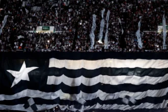 Botafogo e Palmeiras: guia completo de ingressos para o confronto no Nilton Santos