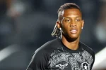 Botafogo enfrenta Athletico-pr com desfalques importantes e mudanças na lista de relacionados