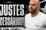 Botafogo enfrenta desafios no ataque e gramado do Nilton Santos preocupa