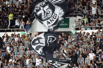 Botafogo esgota Leste Superior para clássico contra o Fluminense no Nilton Santos