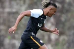 Botafogo estabelece valor mínimo de 30 milhões de euros para negociar Danilo com a Atalanta
