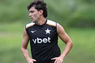 Botafogo finaliza detalhes para contratar Ferraresi em definitivo