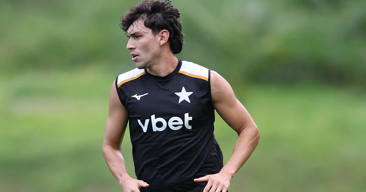 Botafogo finaliza detalhes para contratar Ferraresi em definitivo