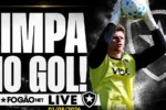 Botafogo promove mudanças no gol e ganha reforços no elenco para fase decisiva