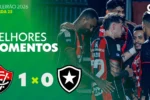 Botafogo sofre derrota para o Vitória no Brasileirão 2026 com arbitragem contestada