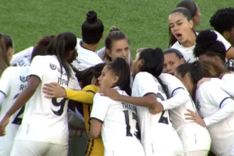Botafogo sofre novo rebaixamento no Campeonato Brasileiro Feminino