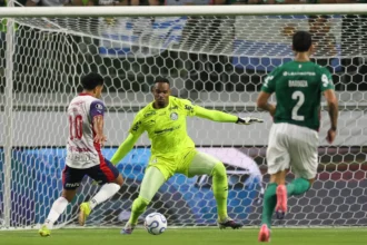 Carlos Miguel assume responsabilidade após erro e projeta classificação do Palmeiras